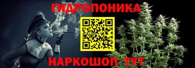 дмт Пенза