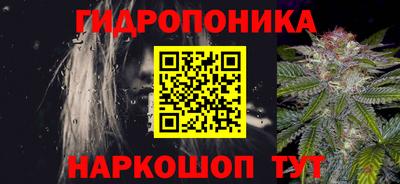 дмт Пенза