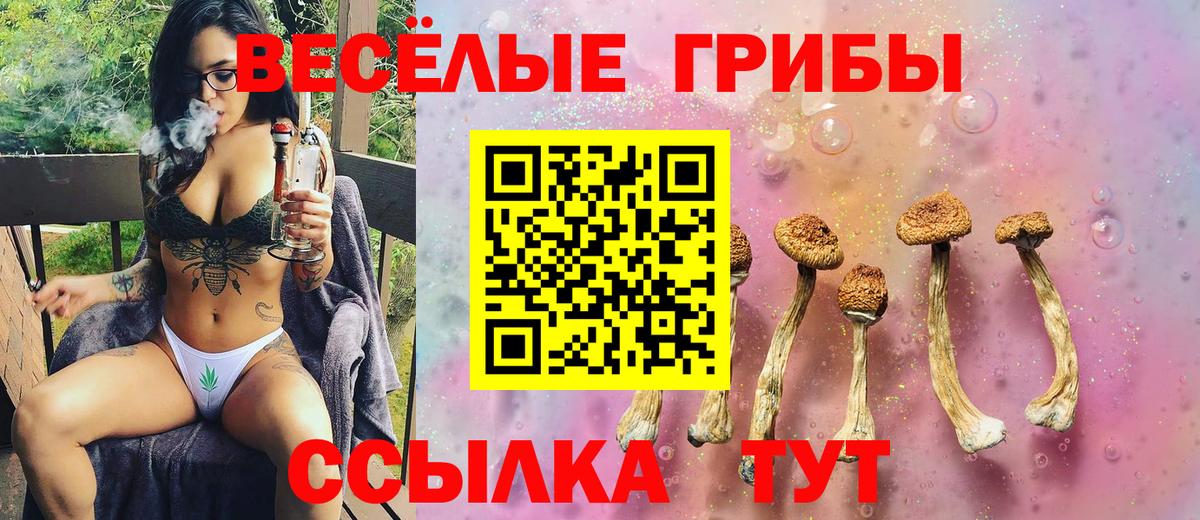 Псилоцибиновые грибы Cubensis  Вход с VPN  Похвистнево 